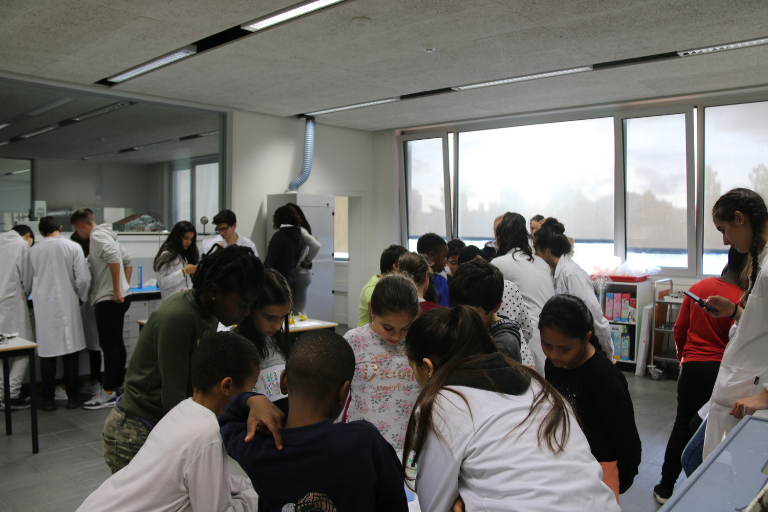 Festival-da-Ciencia-2019_14