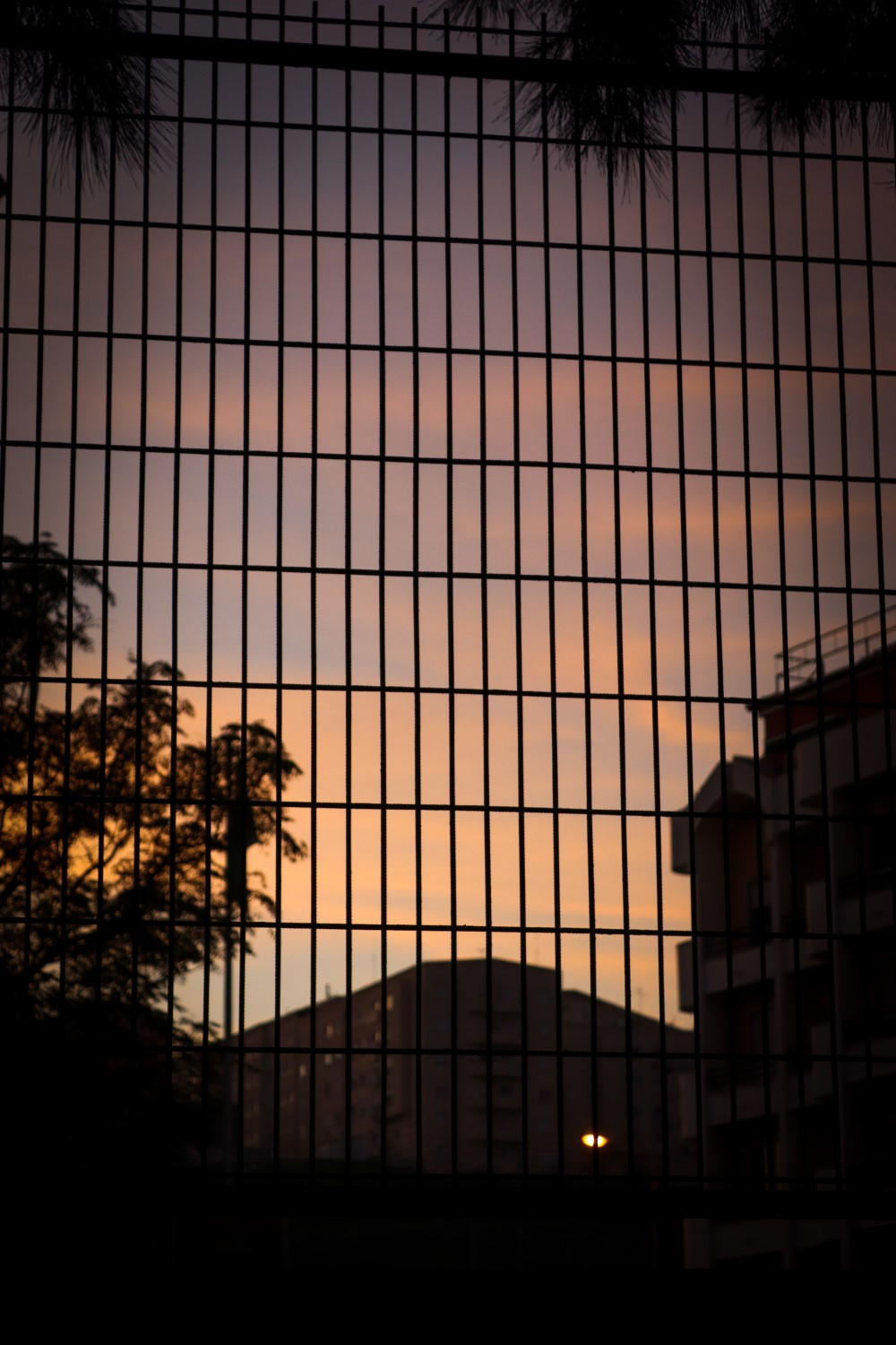 Kristofar_Yoshkov_1_Custom