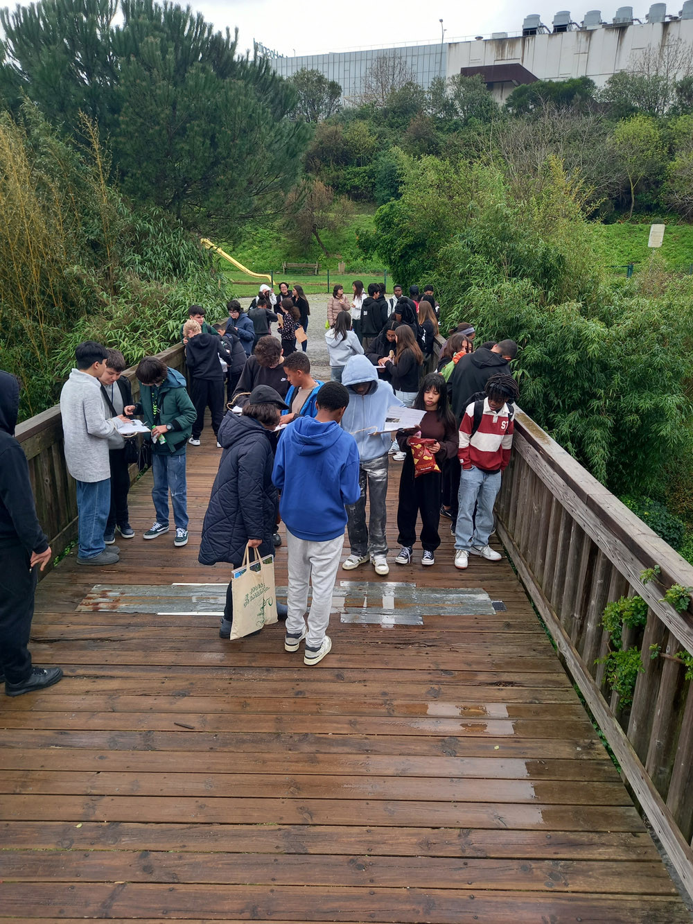 rios_da_costa_ponte_3