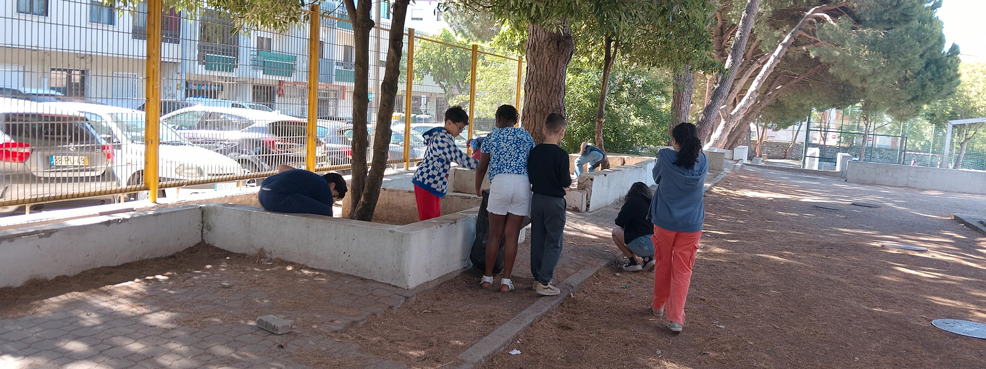 Cidadania Desenvolvimento 17