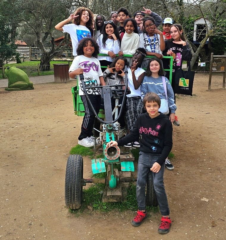 quinta pedagógica