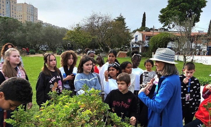 quinta pedagógica 4