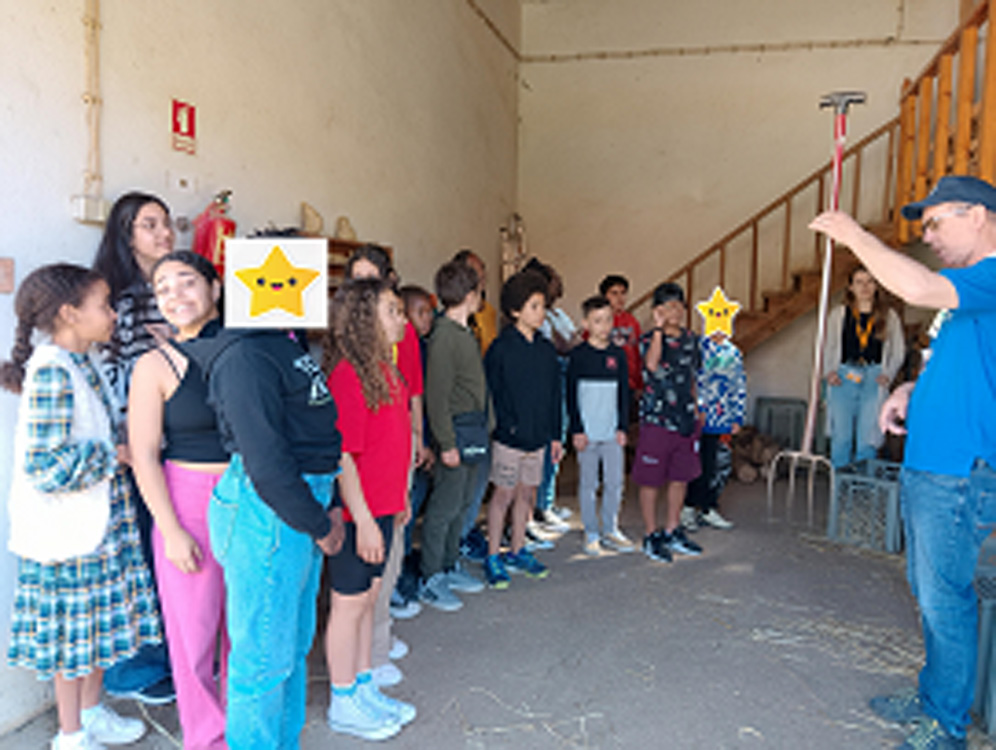 ve qpolivais 1 1