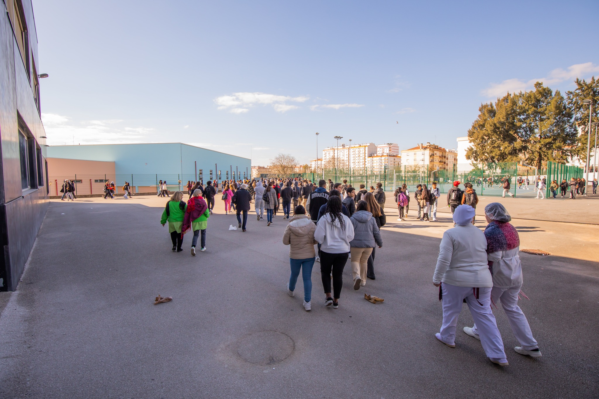 333481369 123516247323991 8435059801611865249 n