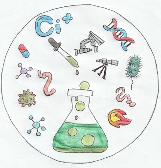 logo Ci mais