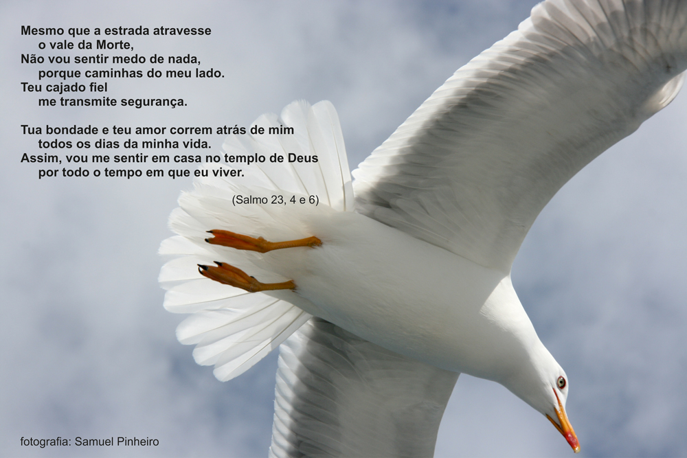salmo 23